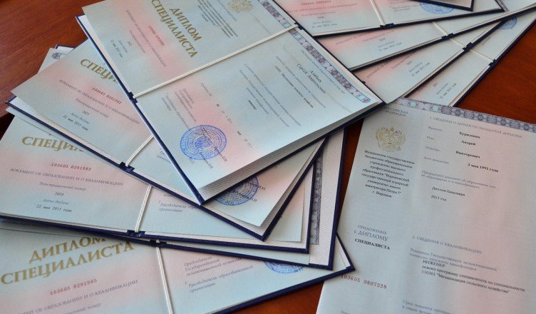 Полное руководство по оформлению заказов от выбора до получения